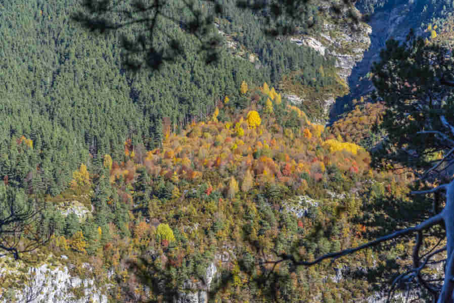 Huesca - parque nacional de Ordesa y Monte Perdido - valle de Ordesa 68 - sendero Turieto Alto.jpg